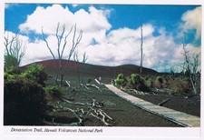 Postcard Devastation Trail Hawaii Volcanoes National Park