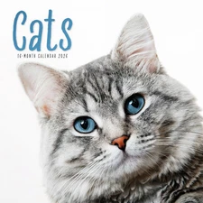 Carousel Calendars,  Cats 2026 Wall Calendar, 12.01'' X 12.01'', 16-Month Calend