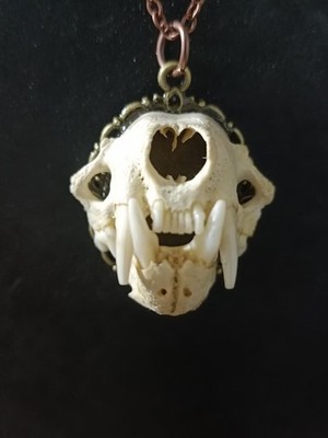 gothic necklace. bone necklace
