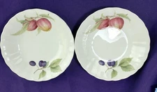 Mikasa Maxima Belle Terre Dessert Fruit Bowl 2 Scalloped Fruit Motif CAJ05 Japan