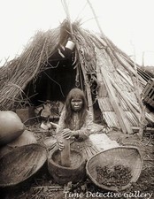 Paiute Indian Woman Grinding Acorns, California, c1900 - Canvas Print in 5 Sizes