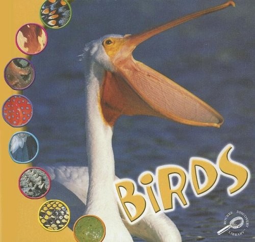 Birds (What Is an Animal?) by Ted O'Hare - Hardcover - VERY GOOD