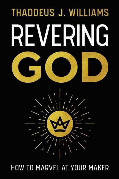 An Revering God How To Marvel At Your Maker Thaddeus J. Williams Taschenbuch-image