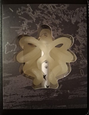 P1harmony Unique 9th Mini Album light keyring soul version