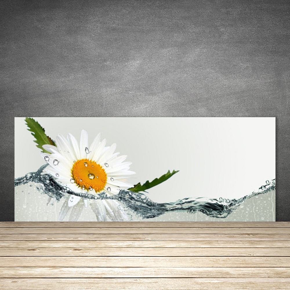 Crédence de cuisine en verre fond de hotte 125x50 cm marguerite de deco