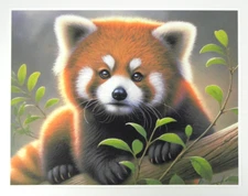 Red Panda In A Tree Fine Art Paper Matte Print 8.5" x 11" USA Made