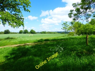 Photo 6x4 Junction of paths at west end of Scaffold's Row Langrish  c2014