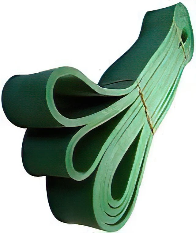 Workoutz 6.6Ft Bungee Resistance Sprinting Band For Speed, Power, Wrestling