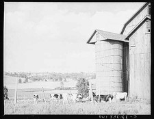Photo:Rural Farm Barn Cattle Silo 1930s Pasture Landscape
