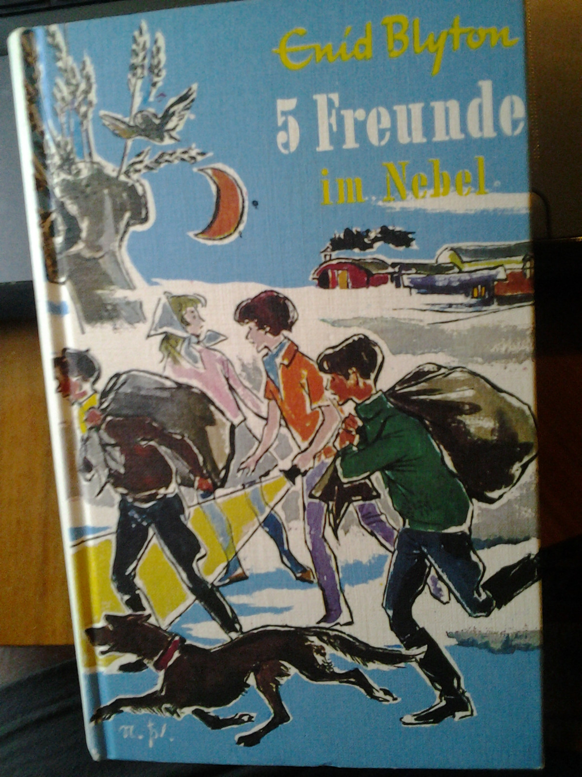 Enid Blyton Band 17- 5 Freunde im Nebel Bertelsmann Verlag * Rarität  * - Enid Blyton
