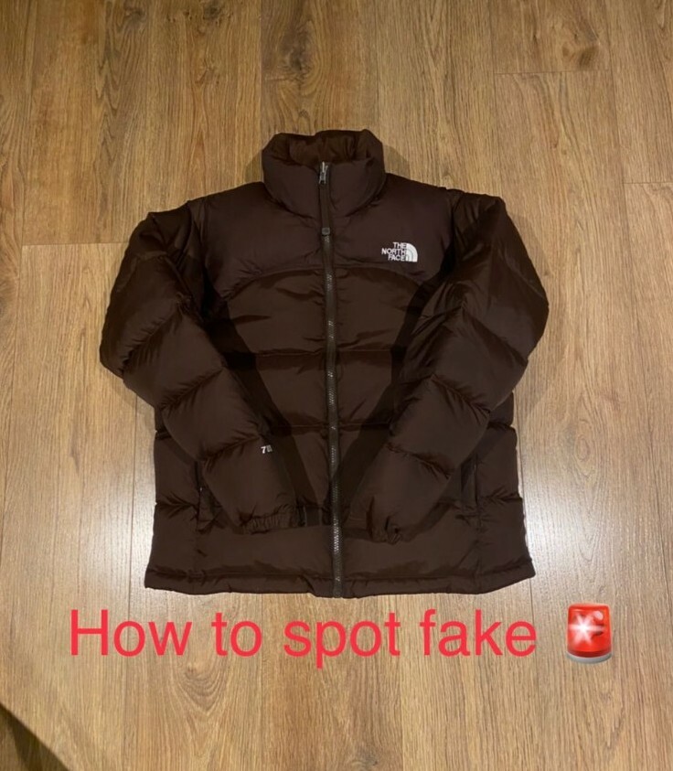 Brown Nuptse 700 Jacket. Kendall Jenner 