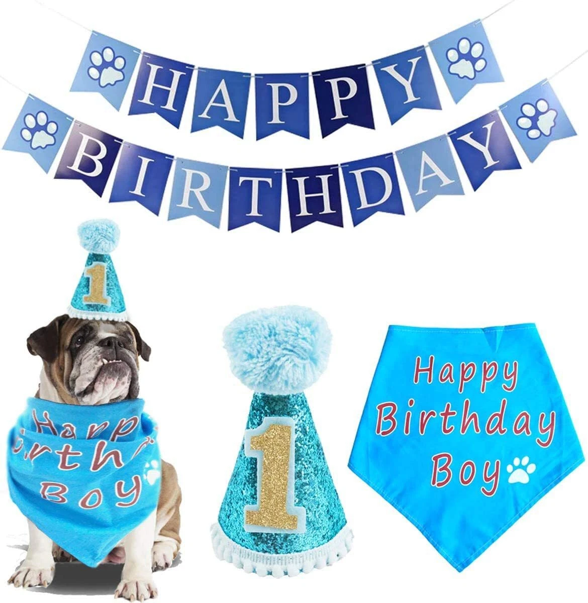 Dog 1st birthday best sale hat