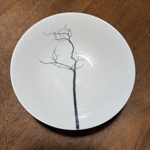DIBBERN Black Forest Tree Fine Bone China Oatmeal Small Bowl 6.25” Germany - Picture 5 of 22