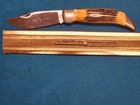Vintage Case XX 5172 Bulldog Knife Genuine Stag Handmade In USA — photo 5