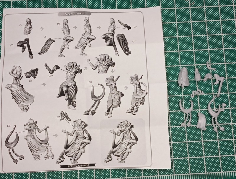 Dungeons & Lasers Woodhaven Stretch Goals 28mm NecromancerEvil Wizard