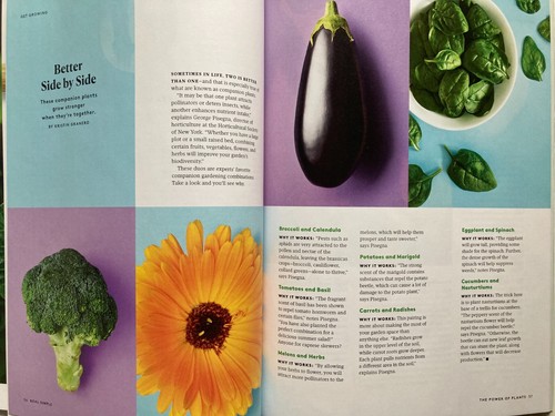 THE POWER OF PLANTS CALMING BENIFITS, ETC. 2024 REAL SIMPLE SPECIAL Magazine NEW - Picture 13 of 15
