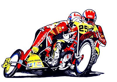 Sandbahn, Grasbahn, Speedway - Aufkleber - Seitenwagen - Motorsport, Innen, Neu