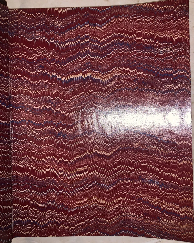 1892, 1st, CATALOGUE OF WEST INDIAN BIRDS, by CHARLES B. CODY, NATURAL HISTORY - Image 2 of 4