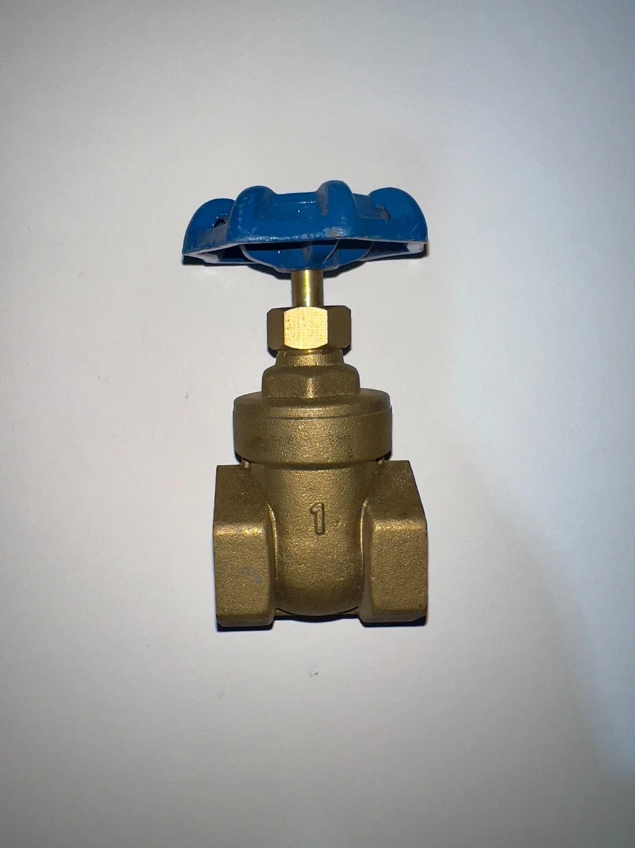 DN20 Brass Gate Valve BSPP G3/4 Rotary Sluice Valve - View #4