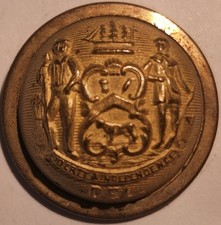 Post CVIL WAR DELAWARE OFFICERS COAT BUTTON 22.5mm BUTTON