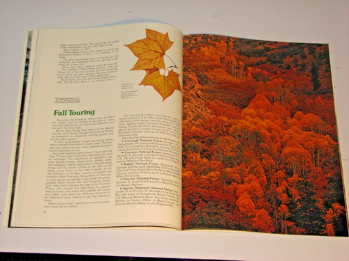 SPECIAL ARIZONA HIGHWAYS BOOK SERIES "DISCOVER ARIZONA UPLANDS" - Picture 10 of 17