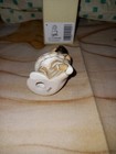 Foto 6 di 6