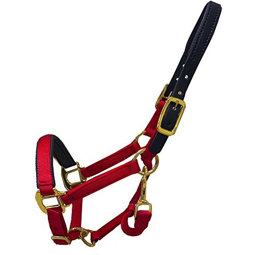 Halter - Sin Rozaduras Breakaway (Pony - Verde Azulado) - Imagen 1 de 1