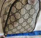 Foto 13 di 14