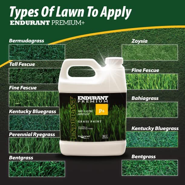 Turf Colorants Premium Spray On Green Grass Paint For Lawns Revives