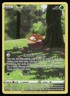 Hisuian Voltorb Crown Zenith: Galarian Gallery GG01/GG70 Ultra Rare Pokémon Card