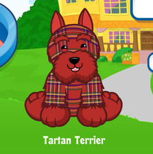 Webkinz Tartan Terrier Virtual Adoption Code Only Messaged Webkinz Promo Dog Pup
