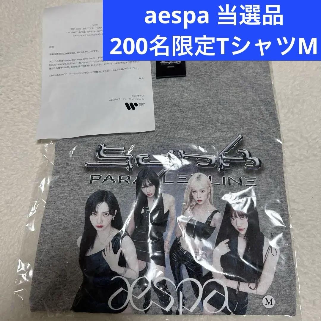 aespa 東京ドーム　Tシャツ Mサイズ グレー 200名限定 当選　ワーナー Aespa Tokyo Dome T-Shirt M Gray Limited 200 Winners Warner