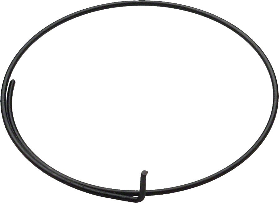 Пружина защелки CampagnoloFulcrum Freehub Body - прочный сменный элемент зубчатого колеса 2190₽