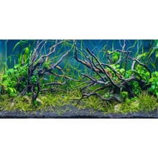 AWERT 72x18 inches Tropical Fish Tank Background River Bed Lake Aquatic Pla...