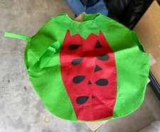 Toddler Watermelon Outfit - Used