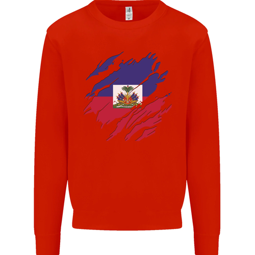 Torn Haiti Flag Haitian Day Football Kids Sweatshirt Jumper - 第 27/97 張圖片