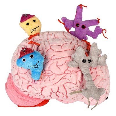 GIANTmicrobes Deluxe 9.5'' Brain with Neuron Plush, Brain Model Anatomy, Psych...