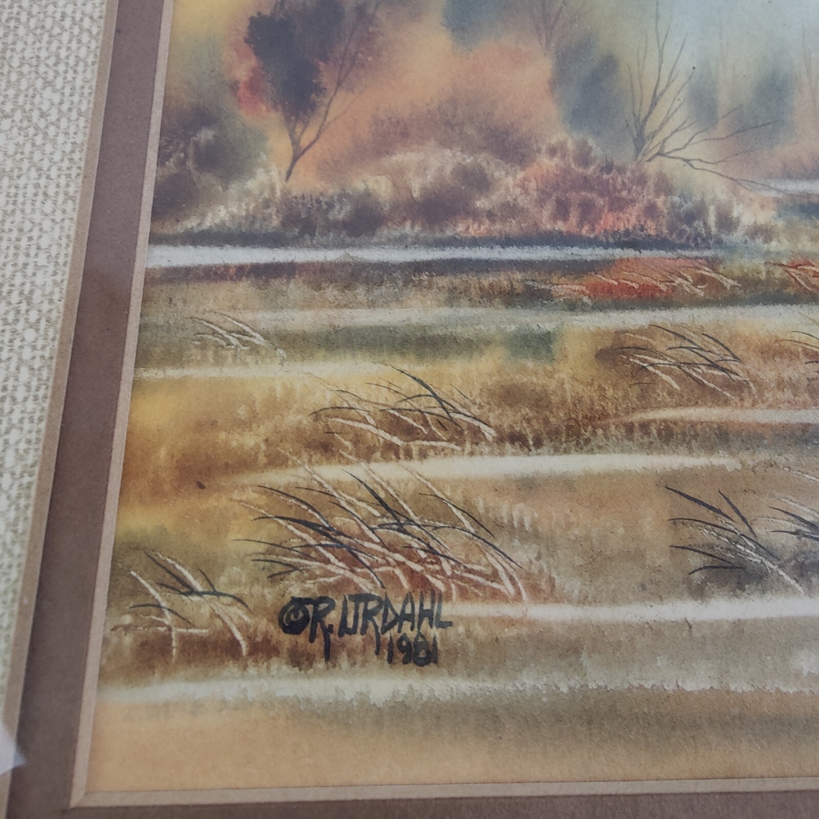 Picture 4 of 8