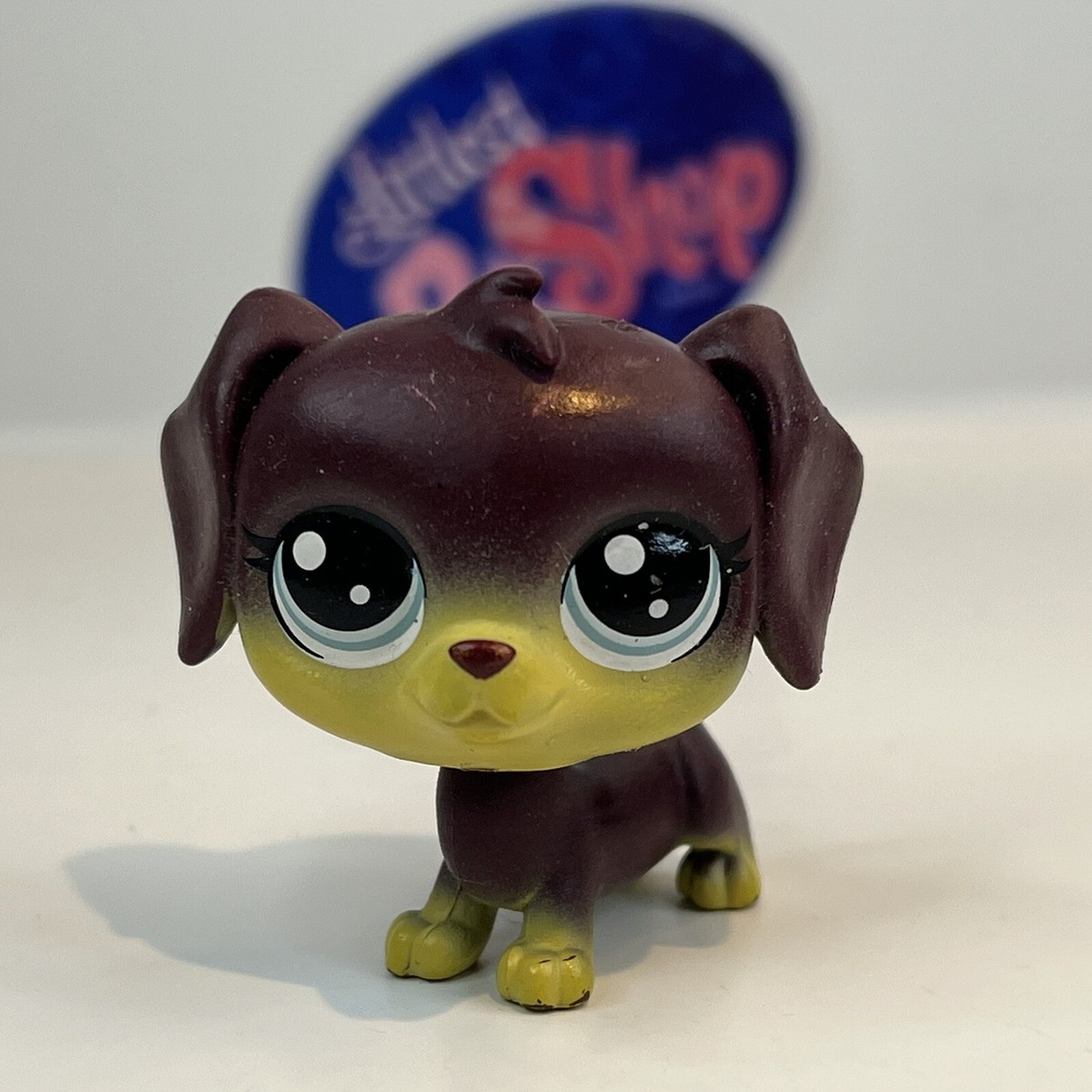 DARA LONGVILLE DACHSHUND DOG #84 - Authentic Littlest Pet Shop