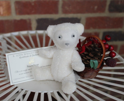 R John Wright Winter SNOWBEAR 2006