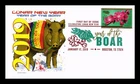 US COVER LUNAR NEW YEAR OF THE BOAR FDC PICTORIAL CANCEL PANDA CACHET