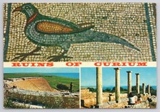 CURIUM CYPRUS Mosaic Bird Ruins Amphitheater 1964 Posted Postcard