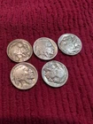 Buffalo Nickles