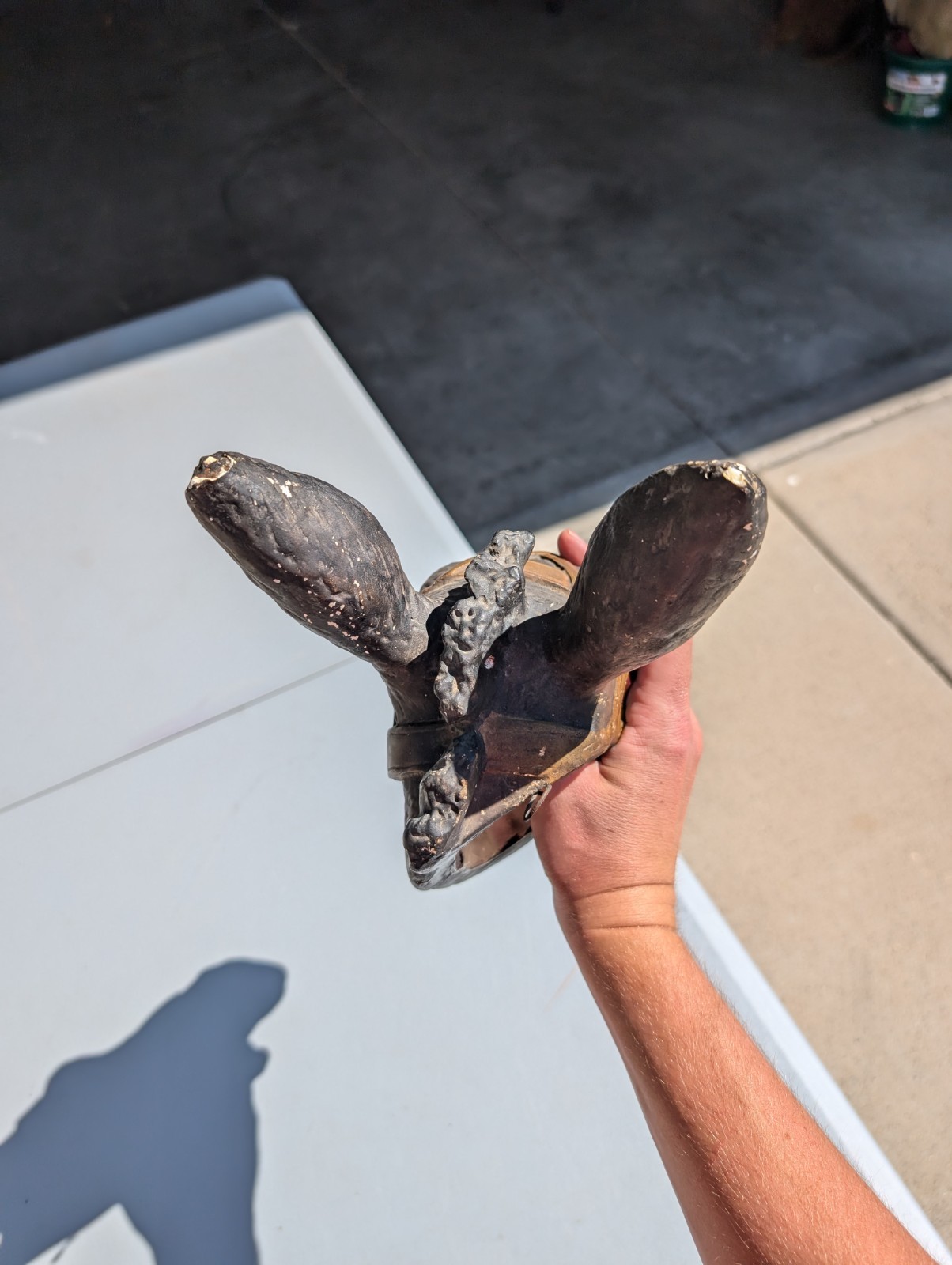 RARE 1909 Borax Mule Head Chalk Advertisement Wall Decor Advertising Sign