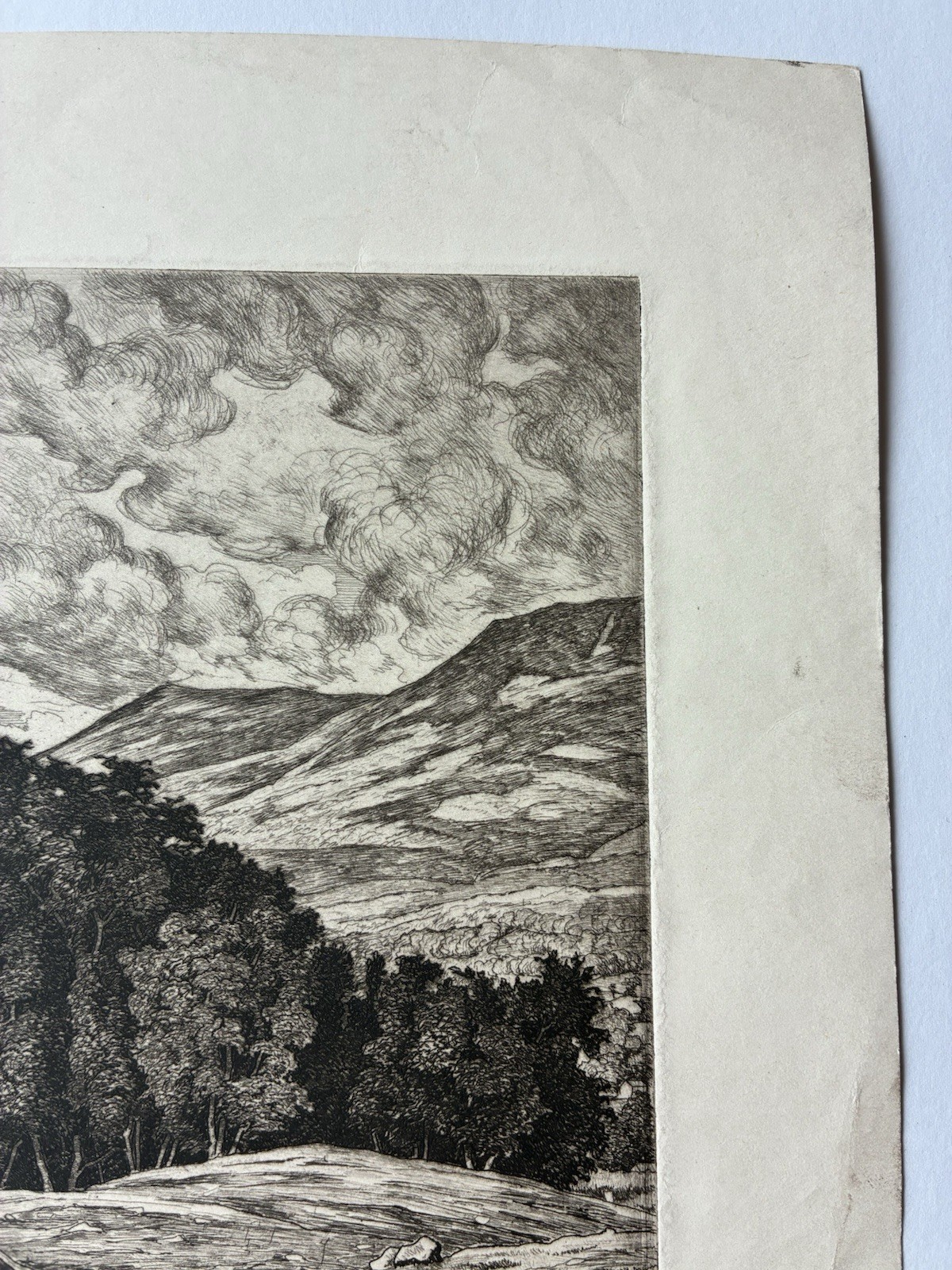 Picture 8 of 13