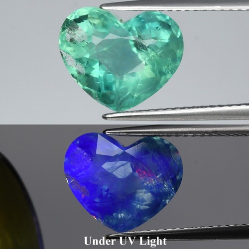 ๐ 6.45ct 12.3x10mm Heart Natural Green Fluorite - Color Change Under UV Light
