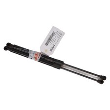 Verin de hayon / de capot Renault R6