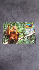 CARTE ONU 1ER JOUR 1998" GENEVE-SUISSE " LES FORETS TROPICALES HUMIDES"