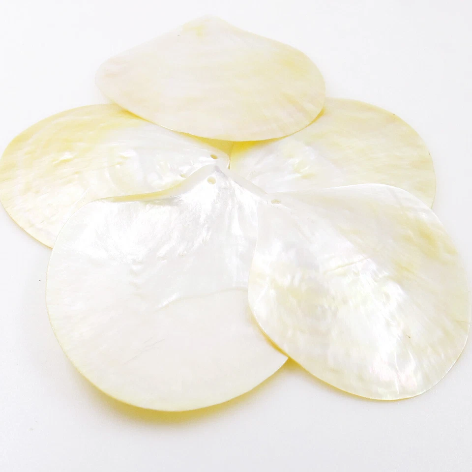 5 PCS 65mm-80mm Shell Natural Light Golden Mother of Pearl Collectibles Dish - Image 3 of 4