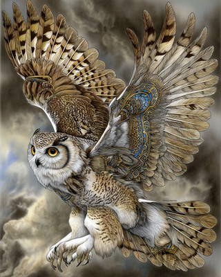 8x10 Owl in flight - cloudy sky, wings spread, patterned feathers - 282347435